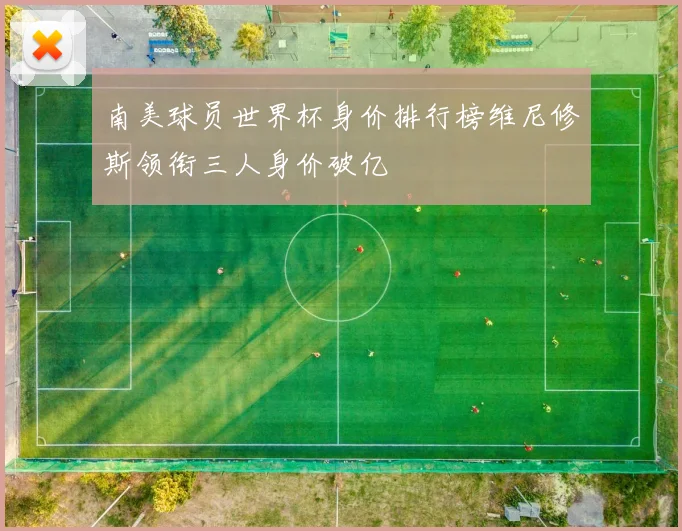 南美球员世界杯身价排行榜维尼修斯领衔三人身价破亿